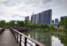 鄞州公园17