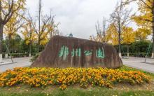 鄞州公园6