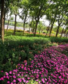 鄞州公园18