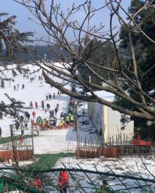商量岗滑雪场27