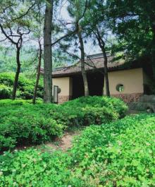 天童寺12