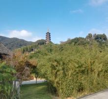 天童寺15