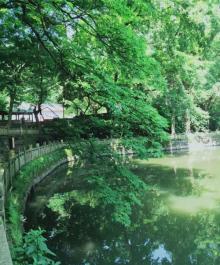 天童寺13