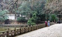 天童寺5