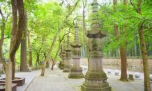 天童寺25