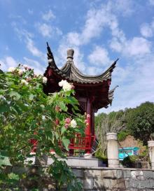 九龙湖景区24
