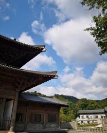 九龙湖景区17