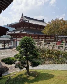 九龙湖景区28