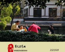 招宝山21