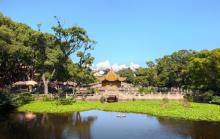 普陀山风景区20