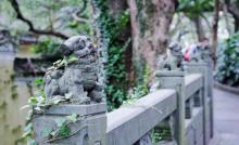普陀山风景区24