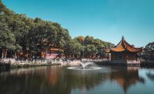 普陀山风景区1