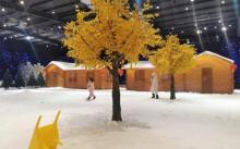 梅山湾冰雪大世界19