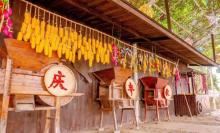 达人村8