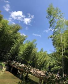 溪口雪窦山徐凫岩26