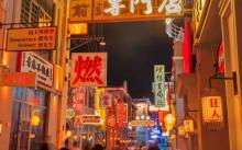 应梦里3