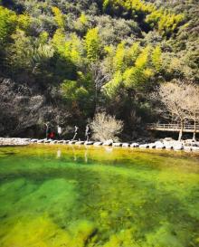 浙东小九寨26