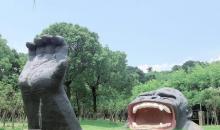 宁波野生动物园14
