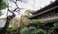 天一阁博物院11