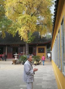 苏州定慧寺24