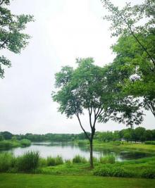 贡湖湾湿地公园15