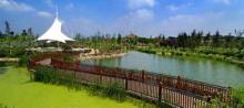 贡湖湾湿地公园5