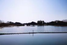 贡湖湾湿地公园21