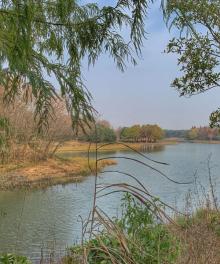 贡湖湾湿地公园9
