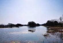 贡湖湾湿地公园20