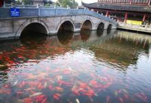 南湖秋月园5