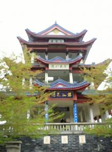 赏樱阁16