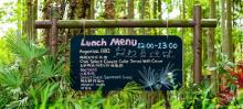 上海自然卷卷牧野28
