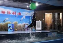 嘉兴极地海洋馆2