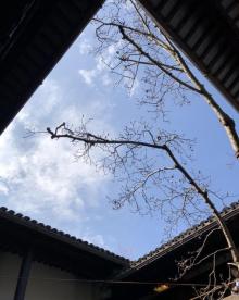 练塘古镇16