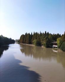 范蠡湖公园7