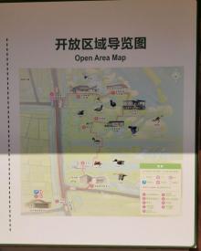 崇明东滩鸟类国家级自然保护区5