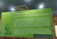 崇明东滩鸟类国家级自然保护区6
