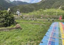 野鸽公园13