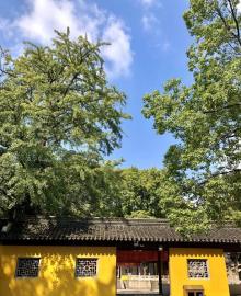 剑门景区14