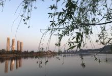 乐清市清和公园10