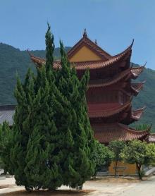 黄大仙祖宫2