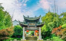 鸡鸣村3