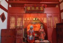 智焯10