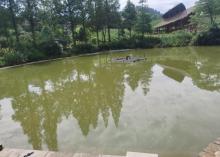 蔓塘里大地之光景区26
