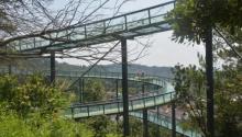 盘龙谷生态旅游区1