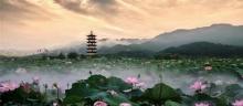 十里荷花2