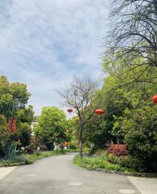 无锡阳山桃花源景区19