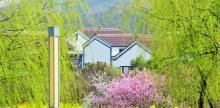 无锡阳山桃花源景区27