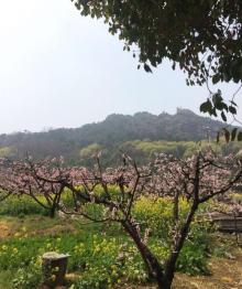 无锡阳山桃花源景区28
