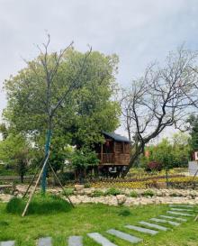 无锡阳山桃花源景区22